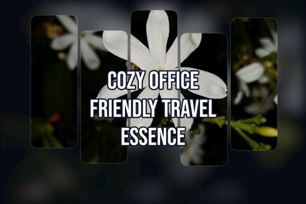 cozy office friendly travel essence